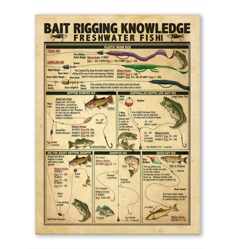 Fishing Bait Rigging Knowledge Fresh Water Fish